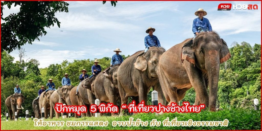 ปางช้างในไทย