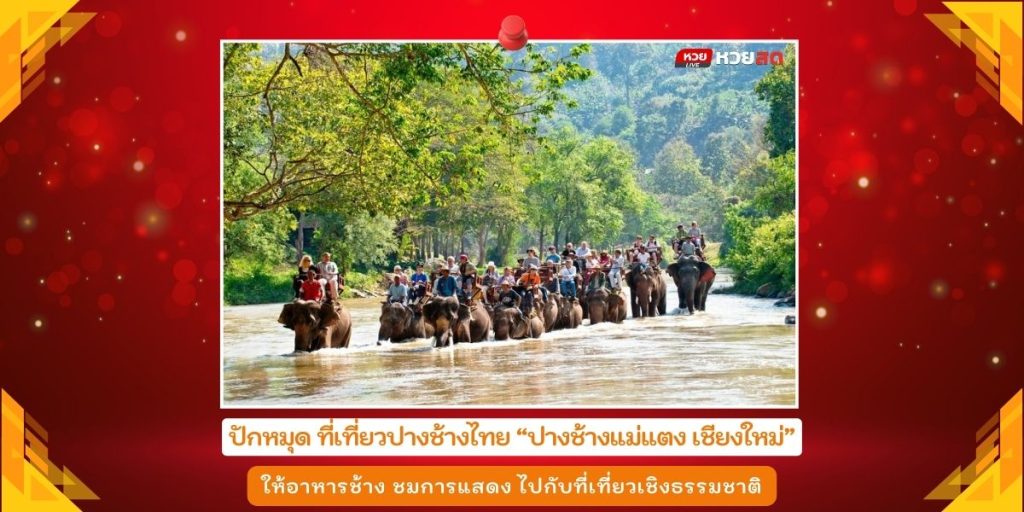 ปางช้างในไทย