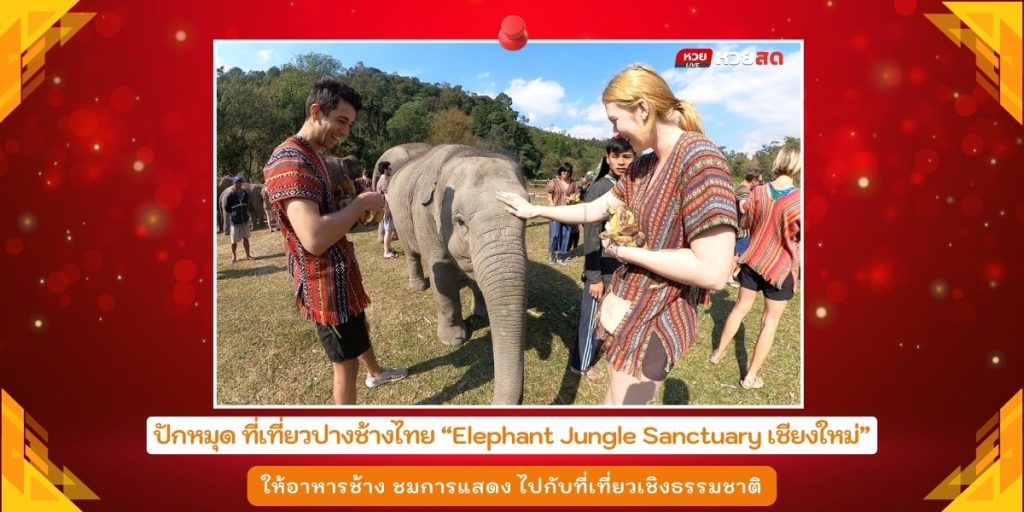 ปางช้างในไทย