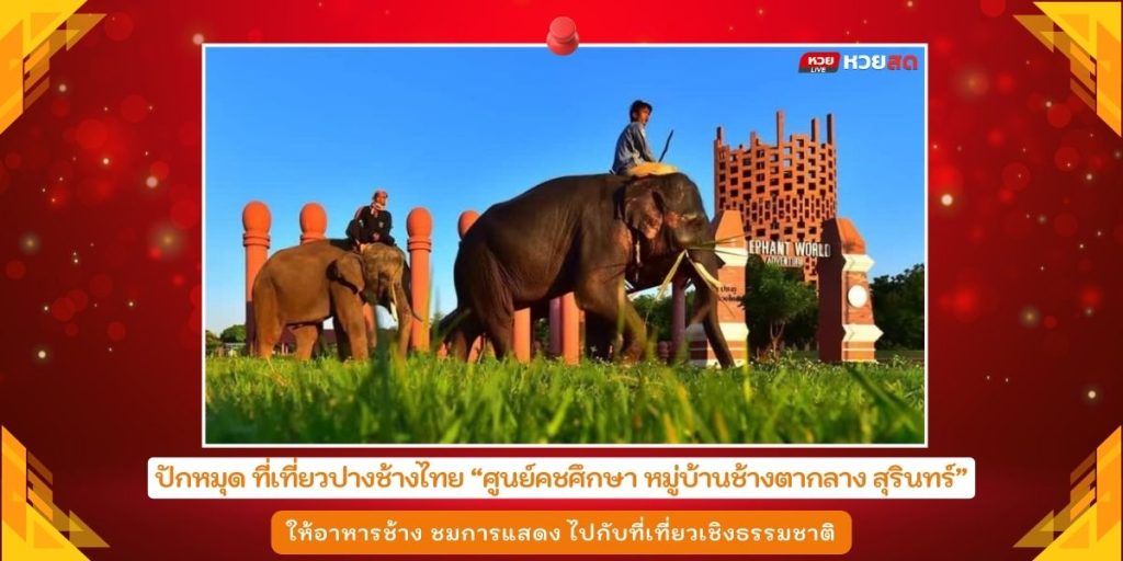 ปางช้างในไทย