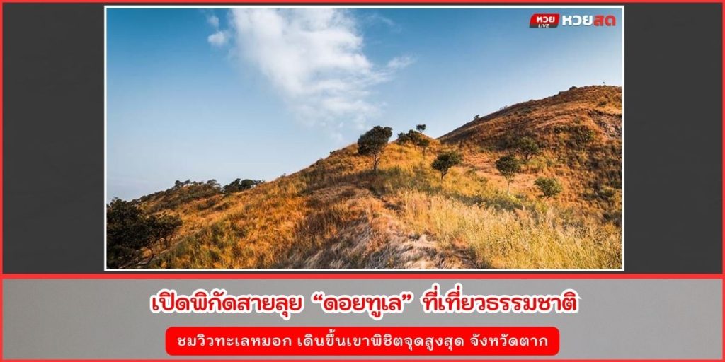 ดอยทูเล