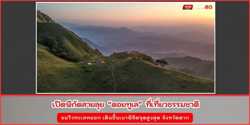 ดอยทูเล