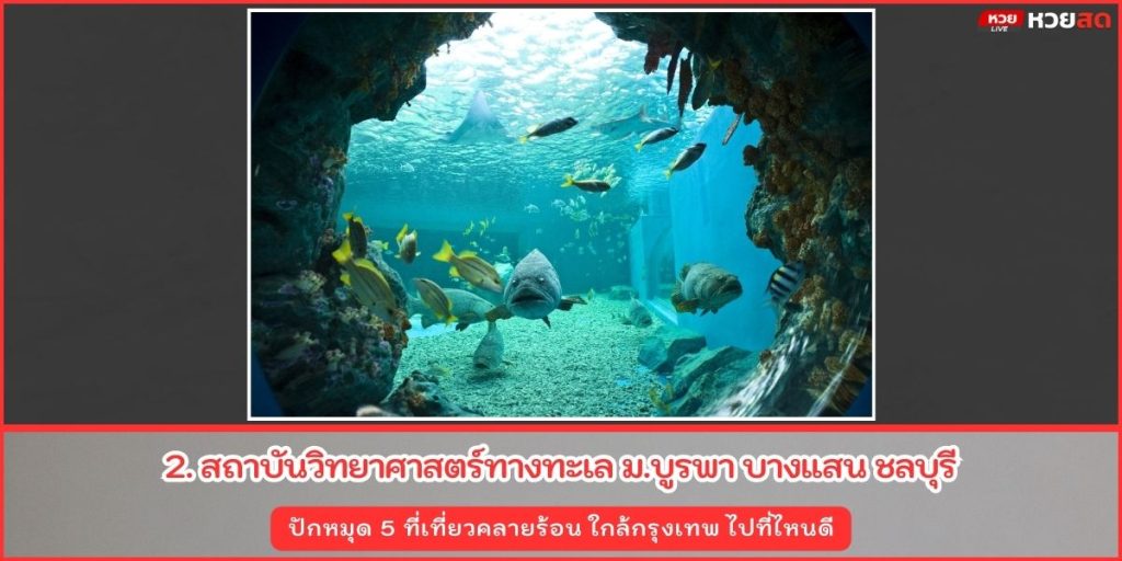 ที่เที่ยวคลายร้อน