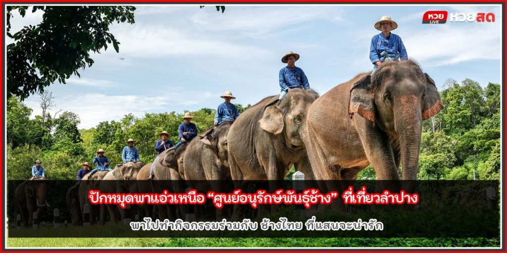 ศูนย์อนุรักษ์พันธุ์ช้าง