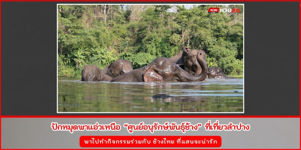 ศูนย์อนุรักษ์พันธุ์ช้าง