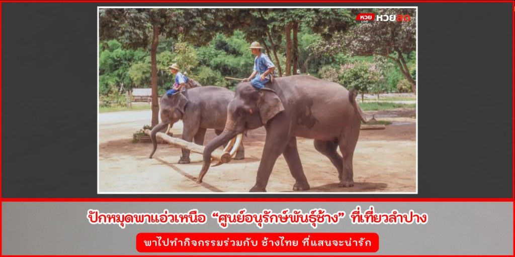 ศูนย์อนุรักษ์พันธุ์ช้าง