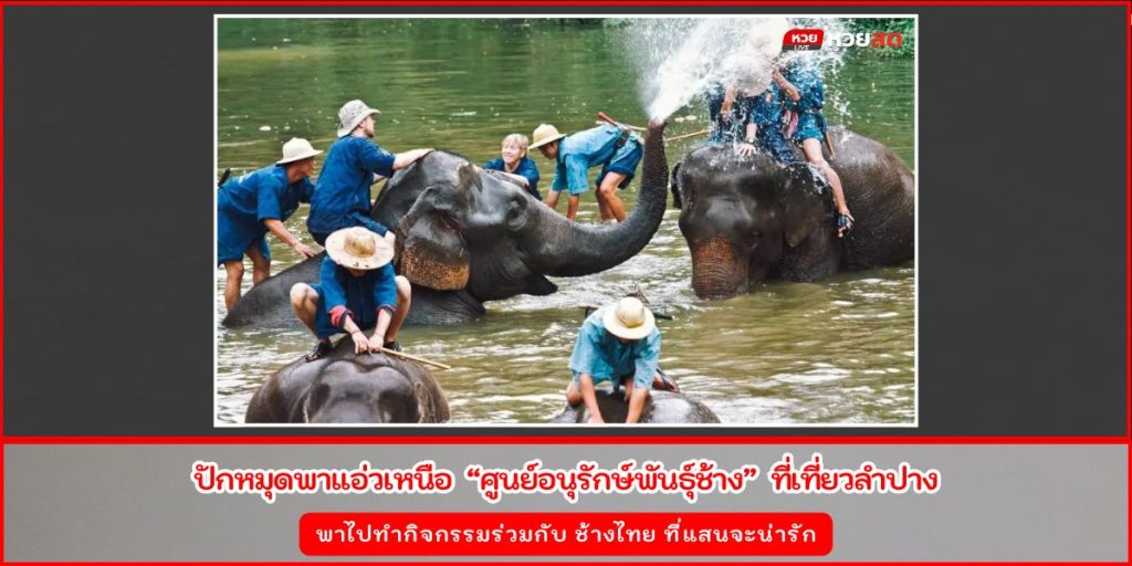 ศูนย์อนุรักษ์พันธุ์ช้าง