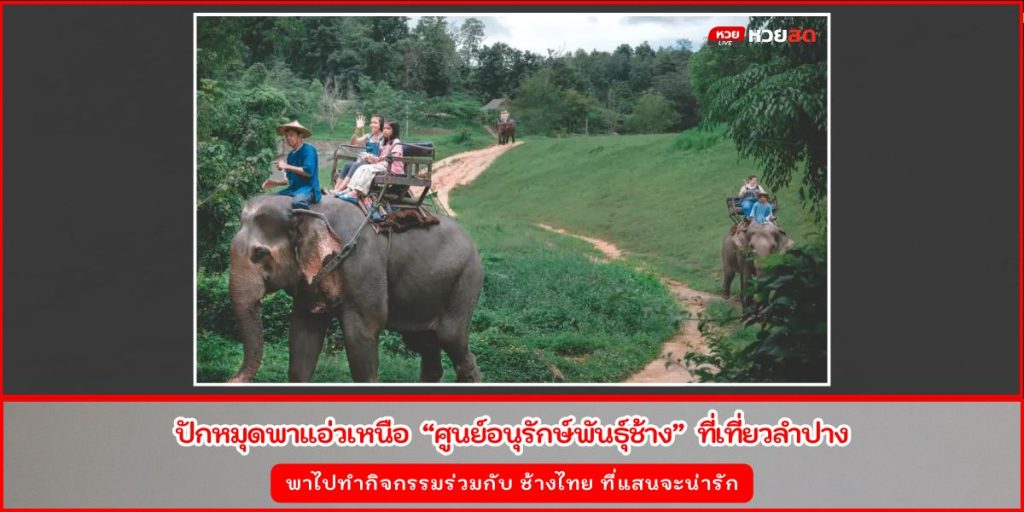 ศูนย์อนุรักษ์พันธุ์ช้าง
