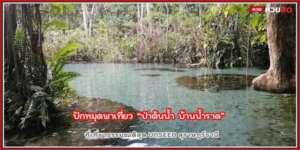 ป่าต้นน้ำ บ้านน้ำราด