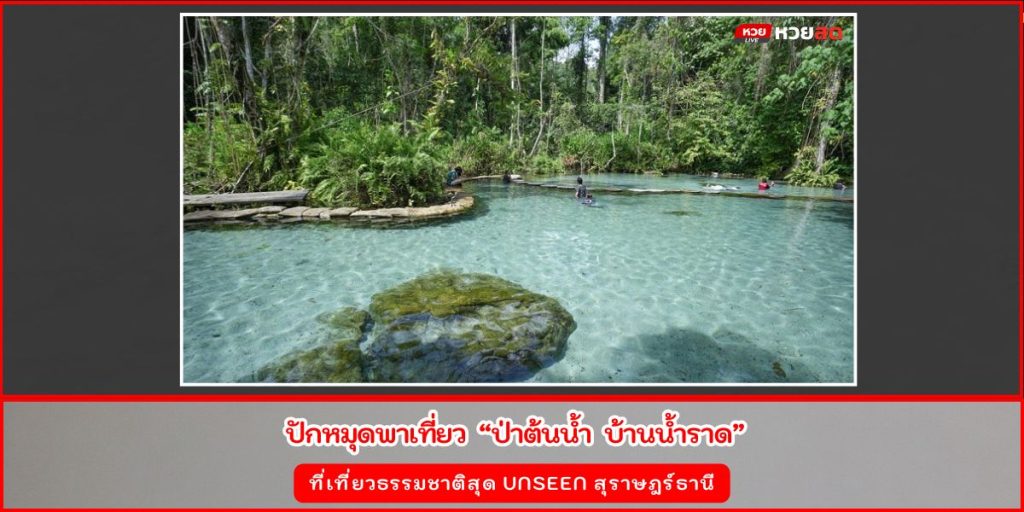 ป่าต้นน้ำ บ้านน้ำราด