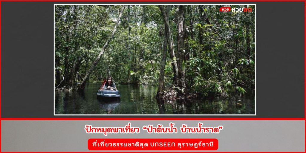 ป่าต้นน้ำ บ้านน้ำราด