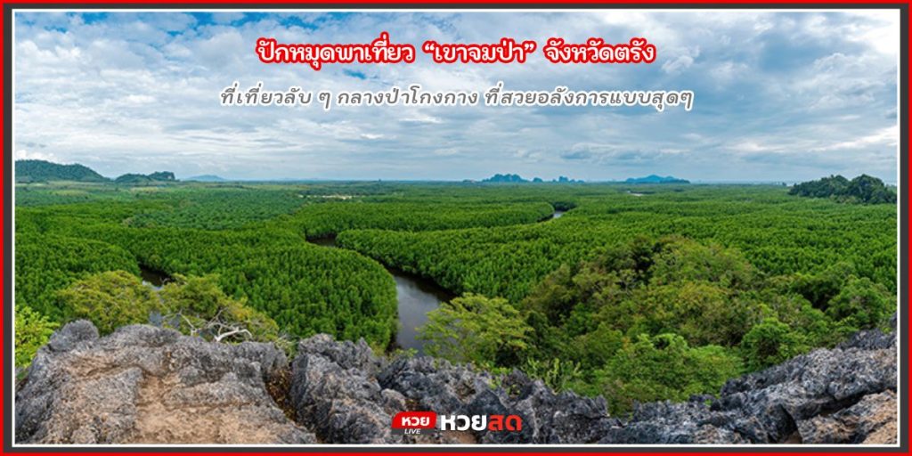 เขาจมป่า