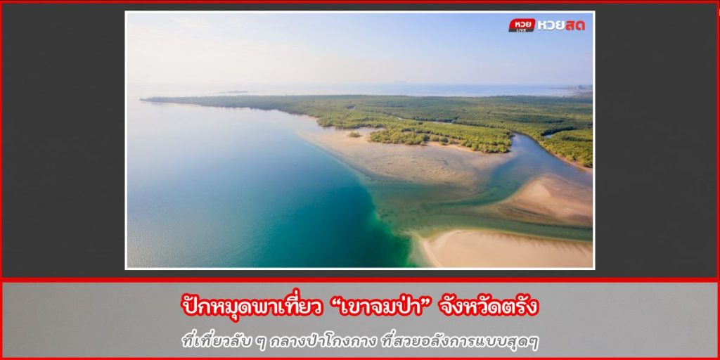 เขาจมป่า