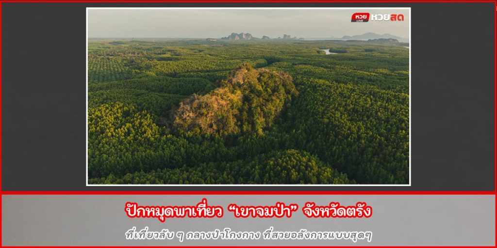 เขาจมป่า