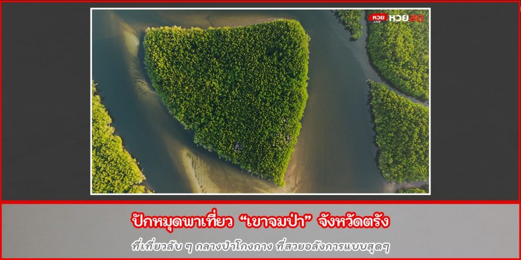 เขาจมป่า
