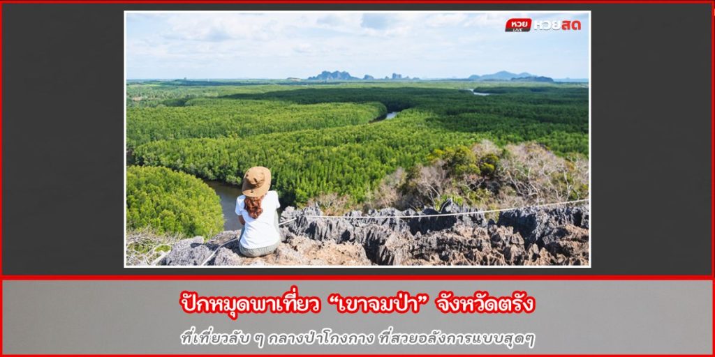 เขาจมป่า