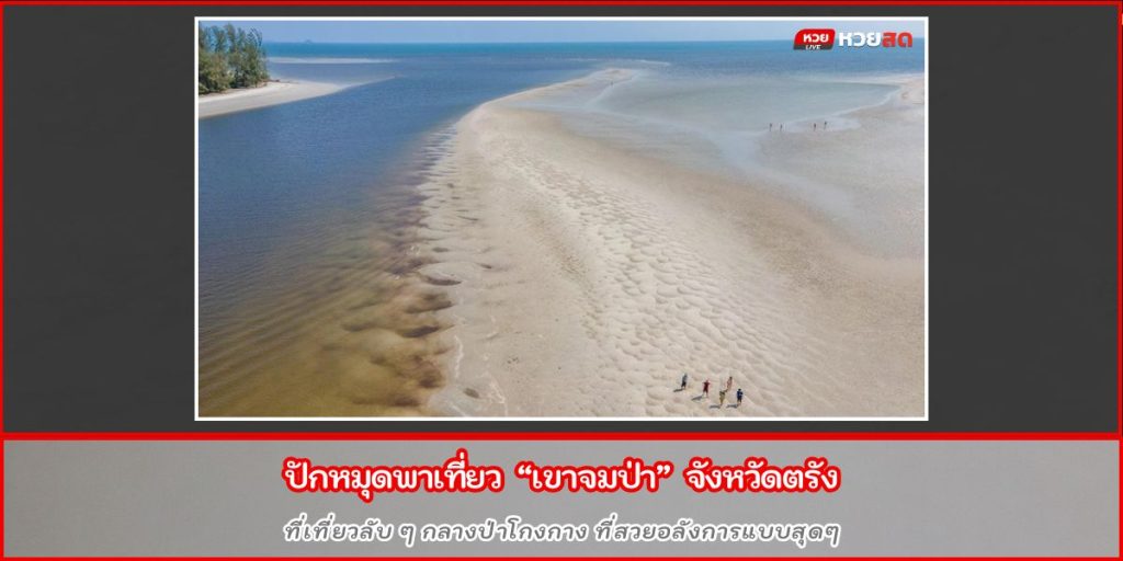 เขาจมป่า