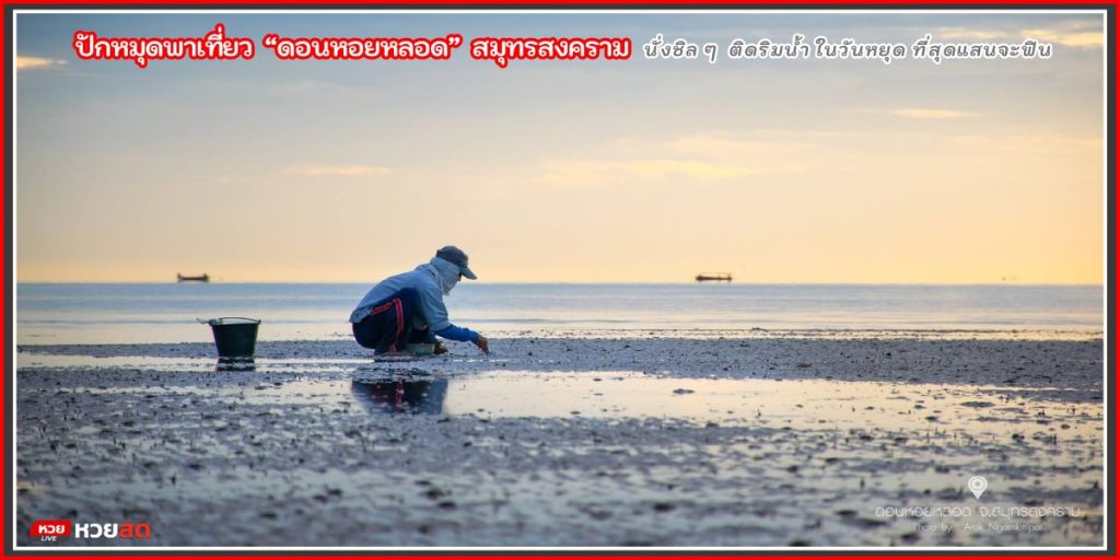 ดอนหอยหลอด