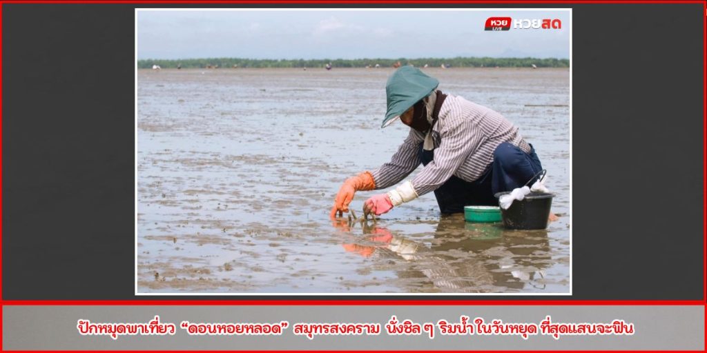ดอนหอยหลอด