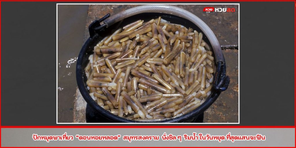 ดอนหอยหลอด