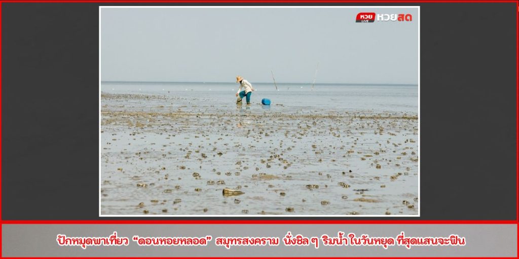 ดอนหอยหลอด