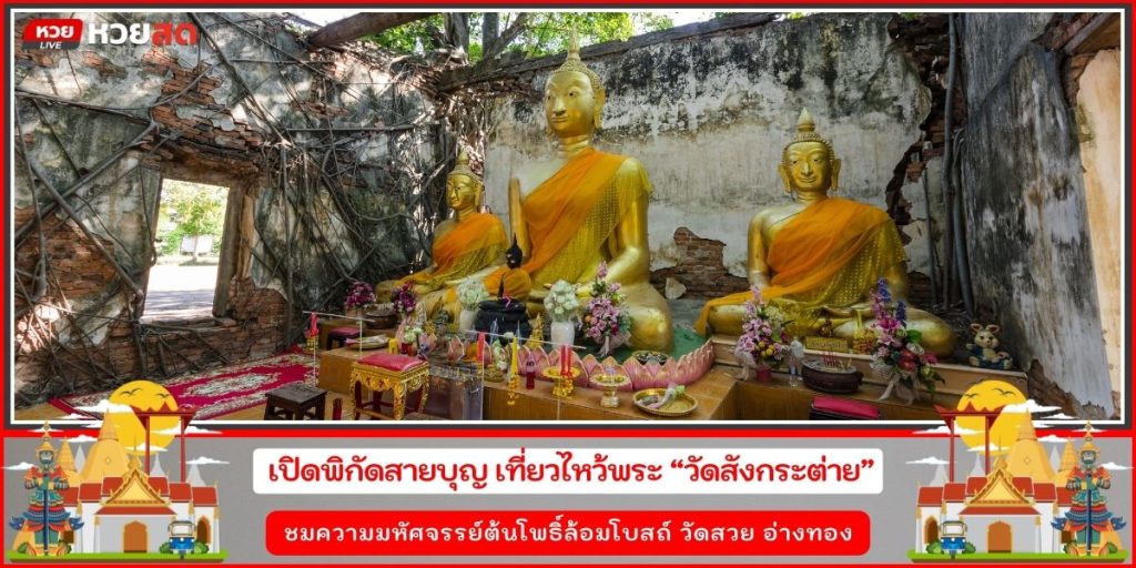 สดสด