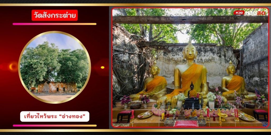 สดสด