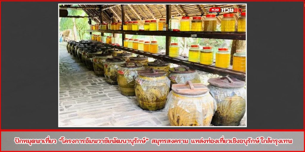 อัมพวาชัยพัฒนานุรักษ์