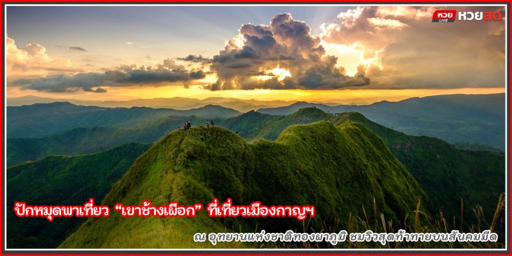 เขาช้างเผือก