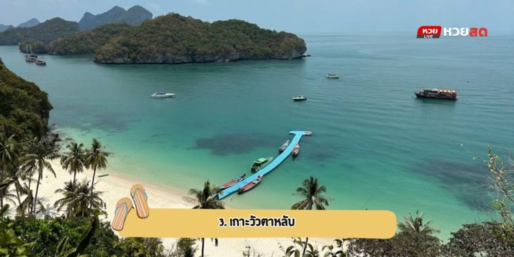 เที่ยวสุราษฎร์