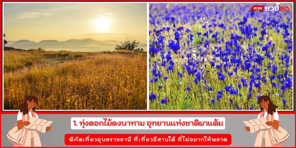 เที่ยวอีสานใต้