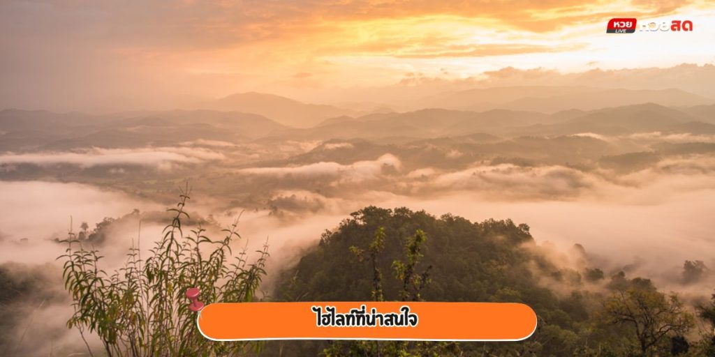ดอยหัวหมด