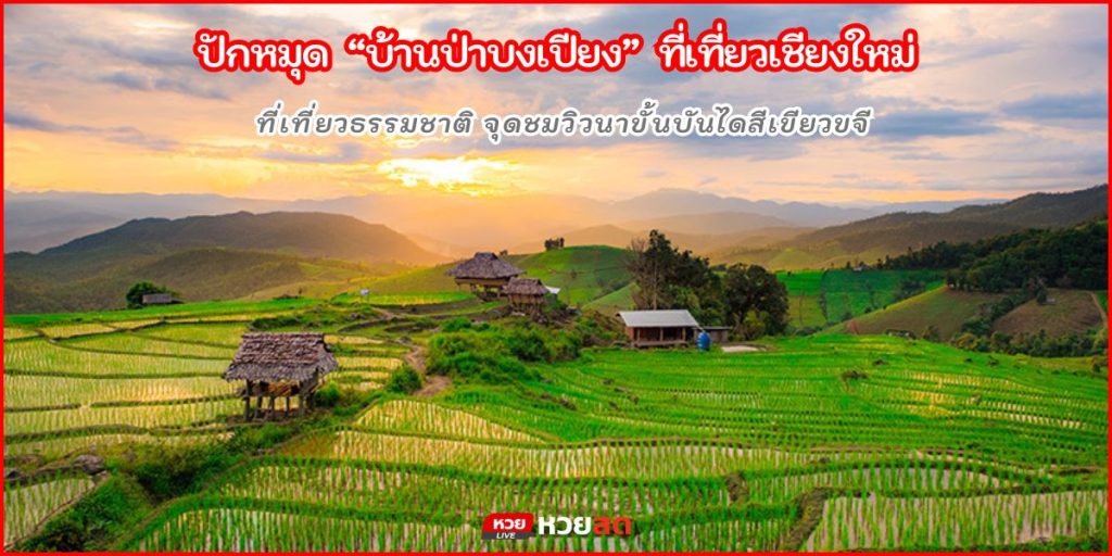 บ้านป่าปงเปียง