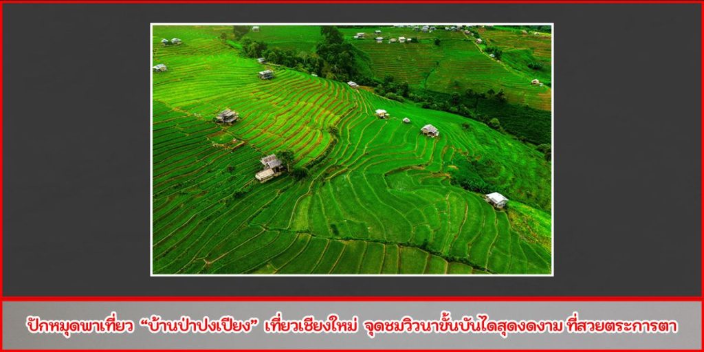 บ้านป่าปงเปียง