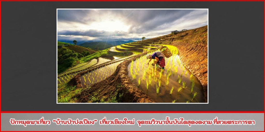 บ้านป่าปงเปียง