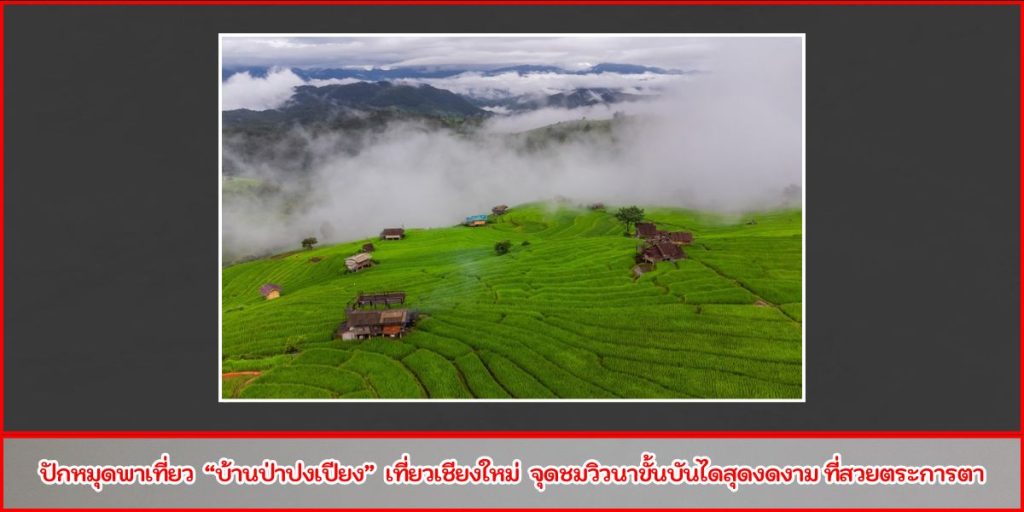 บ้านป่าปงเปียง