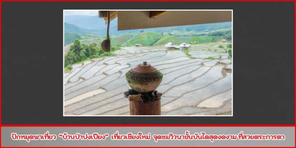 บ้านป่าปงเปียง